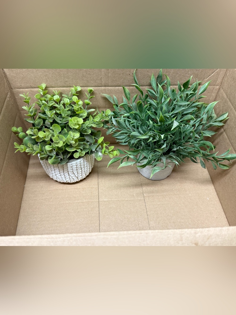 Artificial Faux Plants in Textured Ceramic Pots (PAIR)